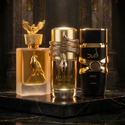 Shaheen, Musman, Asad TTK