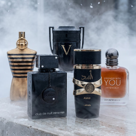 Club de Nuit, JPG Le Male Elixir, Victory, Asad, SWY Intenseley TTK